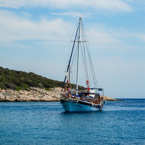 Explore Bodrum's coastline by boat