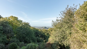 Midcentury in Somerset image 14