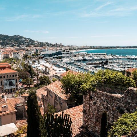 Explore Cannes, including the Mouré Rouge area, a short stroll away