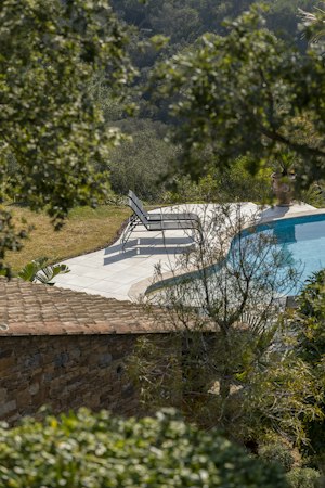 Velvet Villa image 14