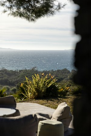 Velvet Villa image 10