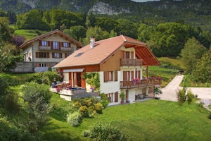 Roses of the Alps image 11