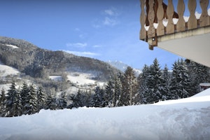 Roses of the Alps image 5