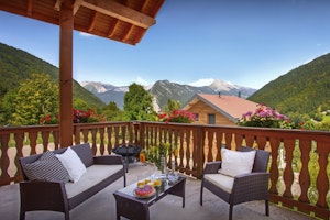 Roses of the Alps image 2