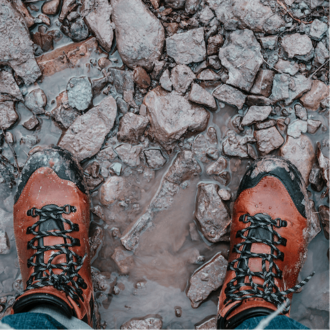 Explore the walking routes of the Suffolk coast