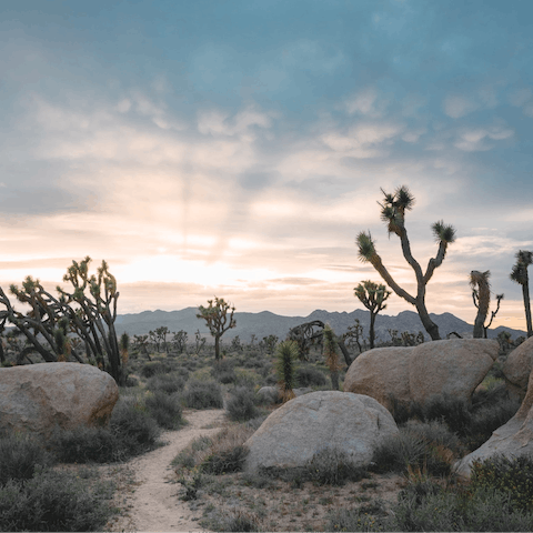 Venture deep into Joshua Tree National Park – just an two-minute drive away