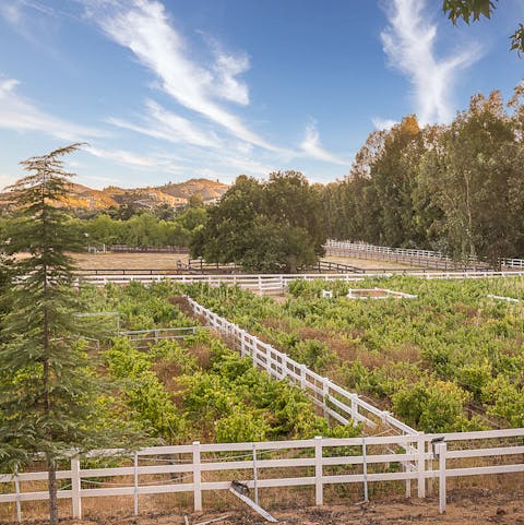 Stay in the heart of wine country, with views over your very own vineyard
