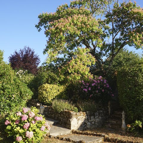 Wander among the flower gardens