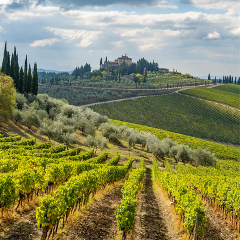 Immerse yourself in the natural beauty of the Chianti region of Tuscany 
