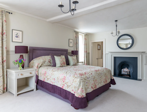 Chichester Garden Retreat image 8