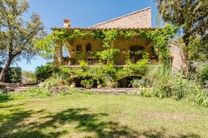 Maison des Vignes image 14