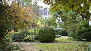 Green Shades image 3