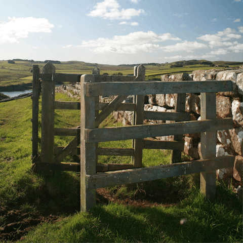 Pull on your hiking boots and head on a guided walk of Hadrian's Wall