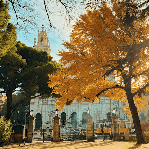 Stay in the Estrela neighbourhood, two minutes away from the public garden