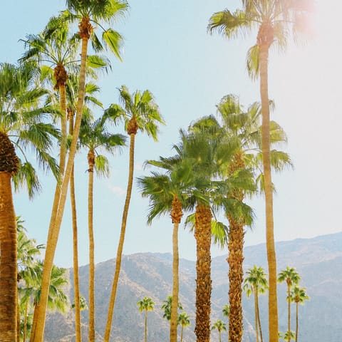 Explore Palm Springs from your base in Midtown, within walking distance of restaurants, bars, and more