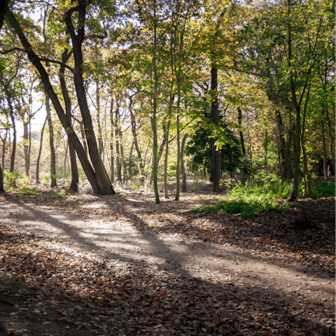 Stay near the large and leafy Bois de Bologne – you'll be a fourteen-minute walk away