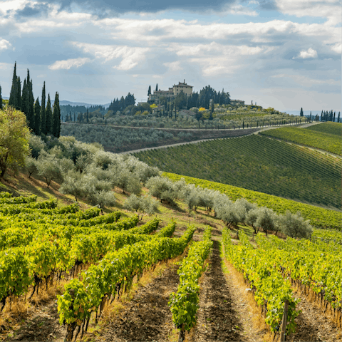 Explore Chianti's rolling vineyards and historic hamlets