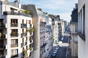 French Haze image 12