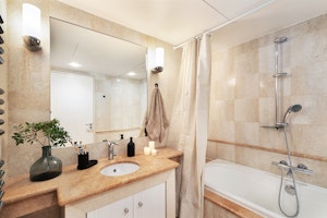 French Haze image 3