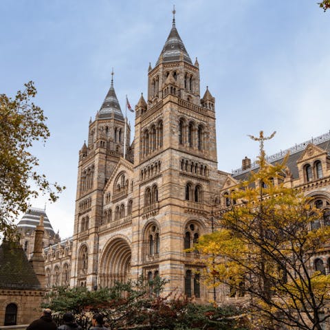 Spend an afternoon exploring South Kensington's world-class museums, a short stroll from your door
