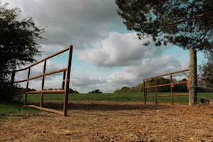 Pastoral Bliss image 10