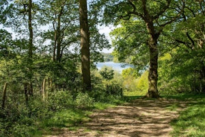 Pastoral Bliss image 2