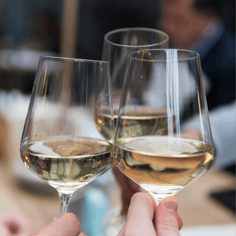 Book a wine tasting class at the winery bar downstairs