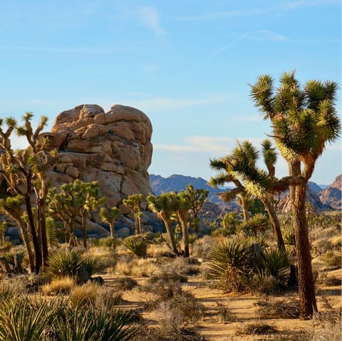 Less than ten minutes to the entrance of Joshua Tree National Park