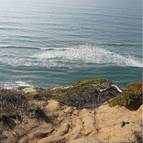 Explore La Jolla's pretty coastline from your enviable seaside location