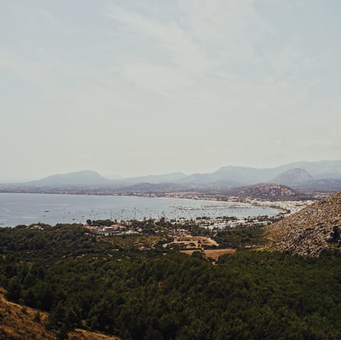 Immerse yourself in the natural beauty of Alcudia
