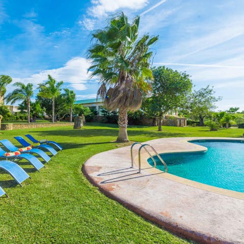 Lounge by the saltwater pool