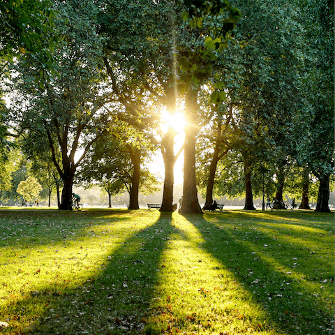 Take a wholesome stroll around the lush greenery of Hyde Park on a leisurely morning