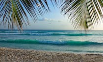 Enjoy the Tranquility of Paynes Bay Beach