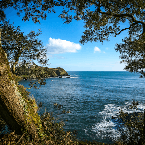 Book a boat trip from Fowey Quayside to explore the waters, just a stroll away