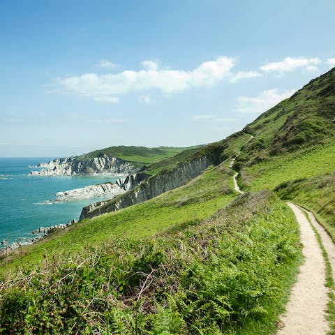 Explore the stunning Suffolk coastline