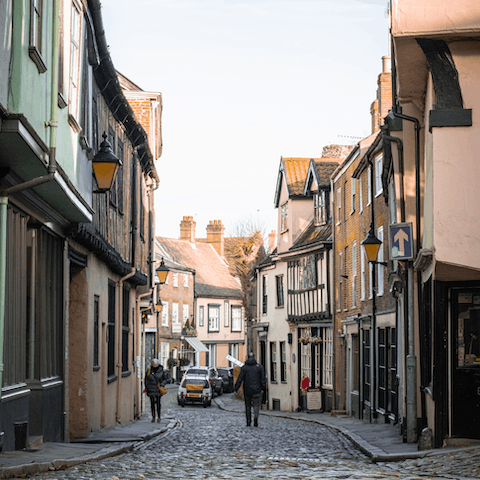 Plan a day out in the historic city of Norwich, less than half an hour away in the car