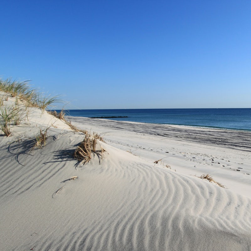 Drive to beautiful Folly Beach for sand, sea and surf