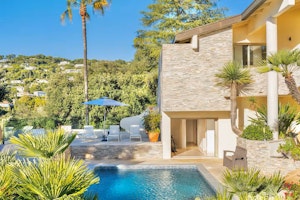 Palms & Palais image 1