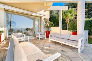 Palms & Palais image 15