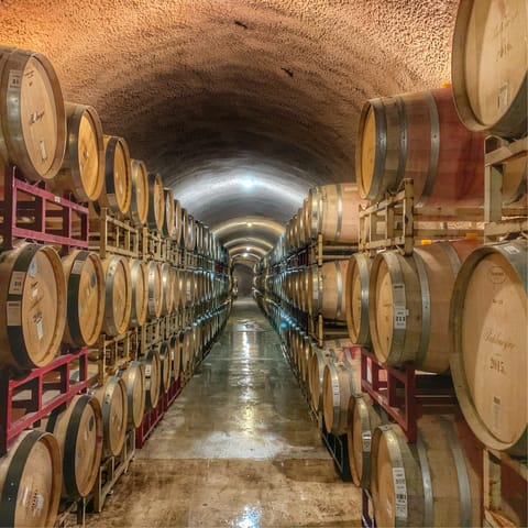 Visit Napa's famous wineries and sample their robust reds –  the thirteenth-century medieval-style Tuscan castle winery, Castello di Amorosa is five miles away 