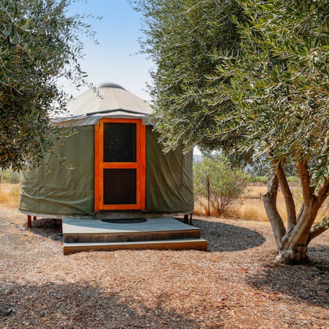 Set the kids up for an adventurous stay in the yurt