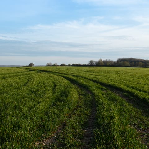 Explore the surrounding Area of Outstanding Natural Beauty in the North Downs