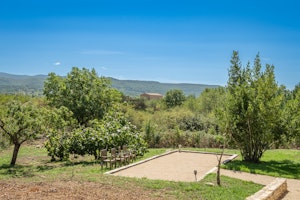 By the Fig Tree image 2