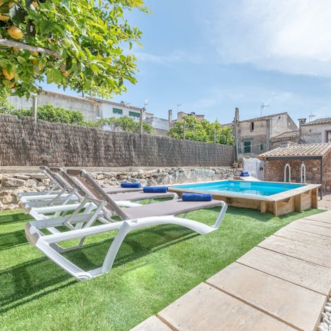 Sunbathe by the fruit tree on the loungers before taking a dip