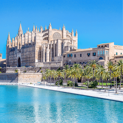 Experience Palma's vibrant culture and discover its fascinating history, just forty-five minutes in the car 