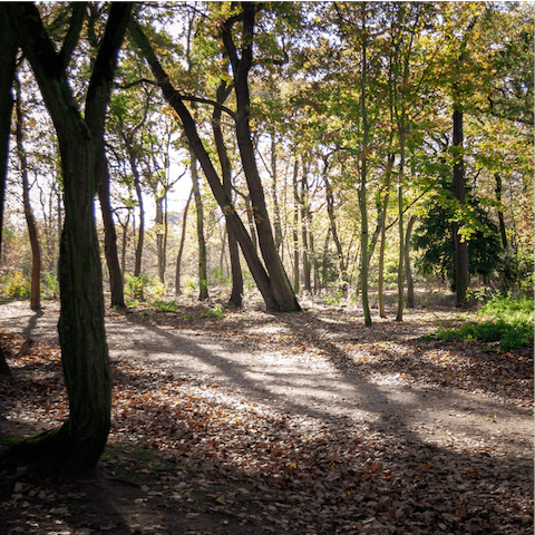 Spend an afternoon getting lost in Bois du Boulogne, forty minutes' walk from the home