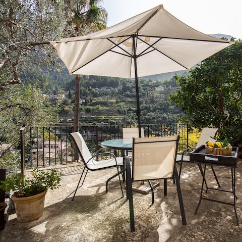 Eat lunch in the shade of the olive tree
