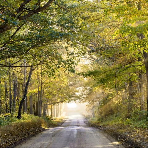 Bring your walking boots and explore the Kent countryside