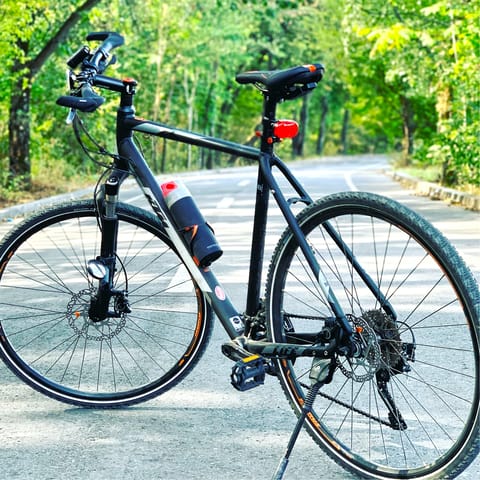 Bike your way through scenic Central Park