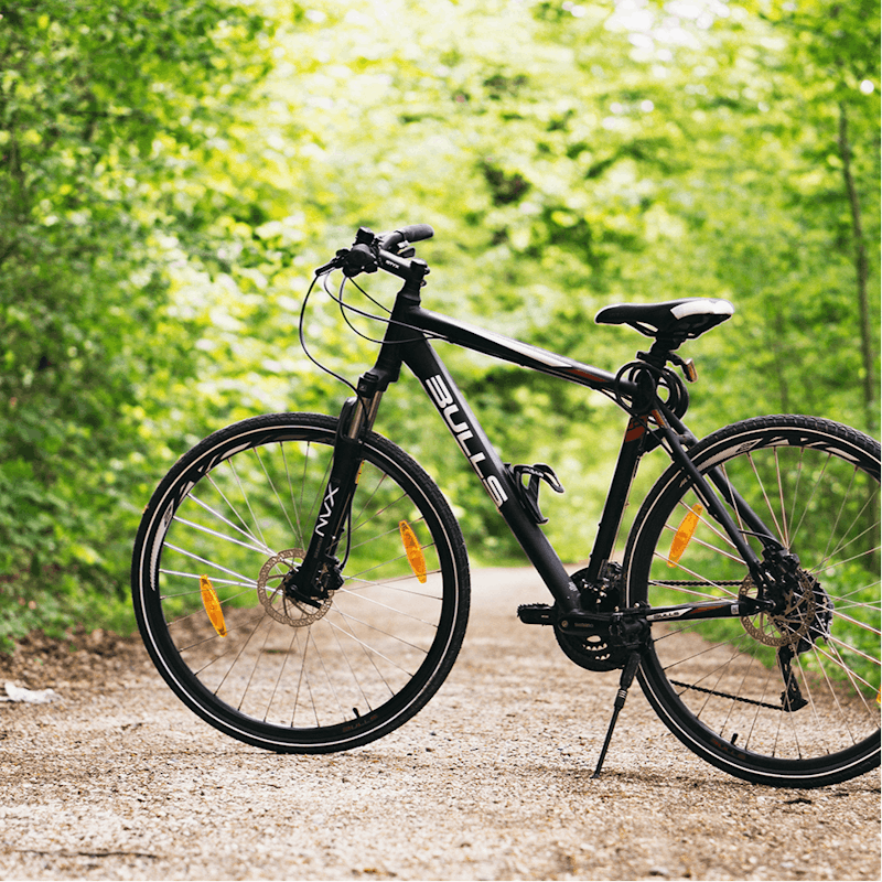 Explore the 1,000 acres of hiking, biking and cross-country skiing trails on your doorstep